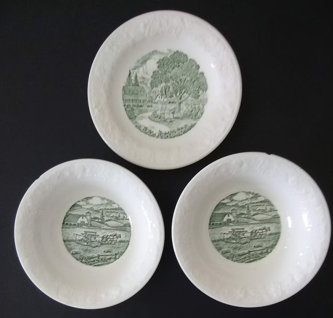 Dishes Homer Laughlin Pastoral Vintage Green Transfer Embossed Bowls Plate Chip - Etsy | Etsy (US)
