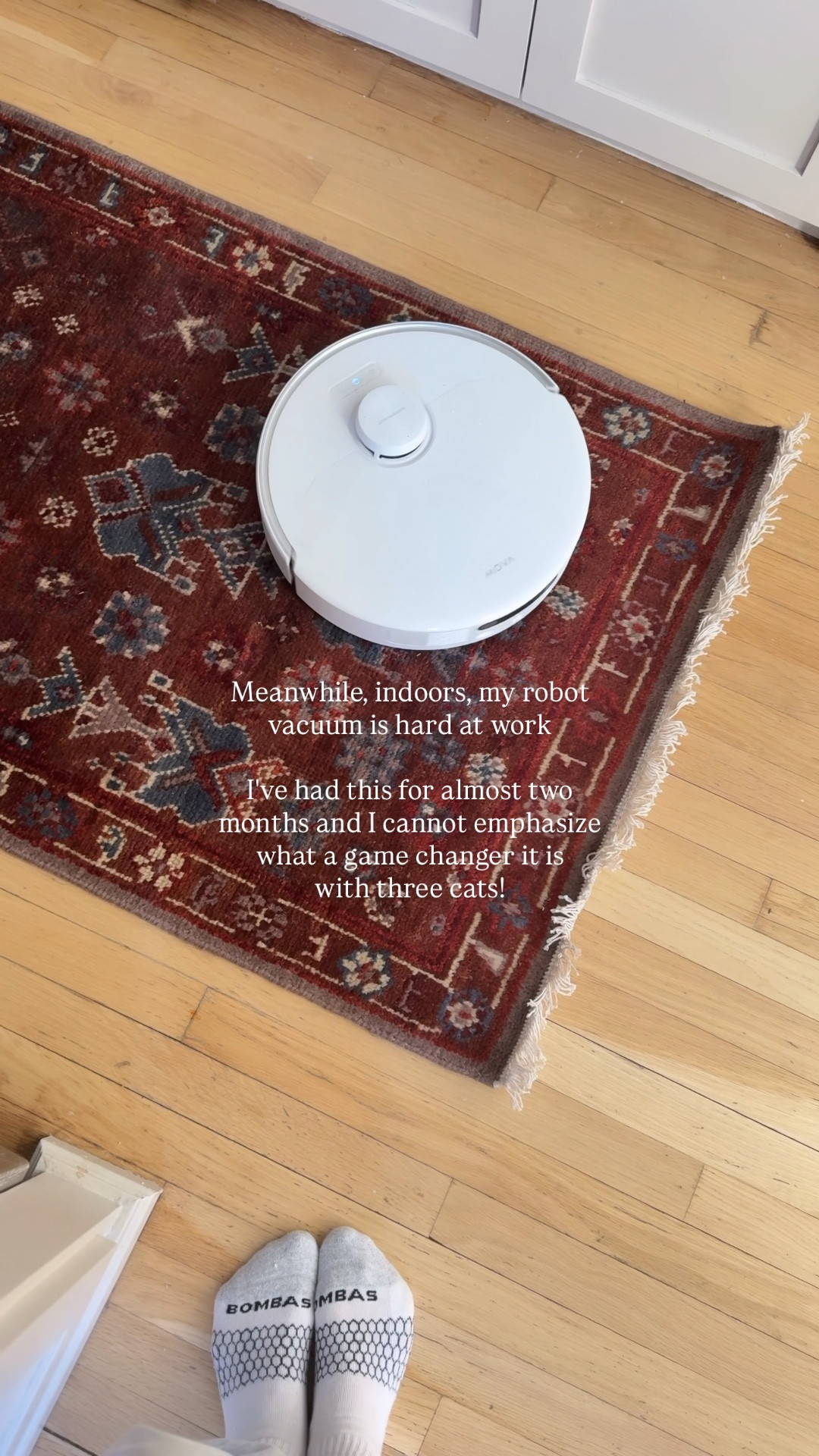 This robot vacuum has been an absolute game changer with three cats. It's moos as well and I can follow the map straight from my phone! 

#LTKHome