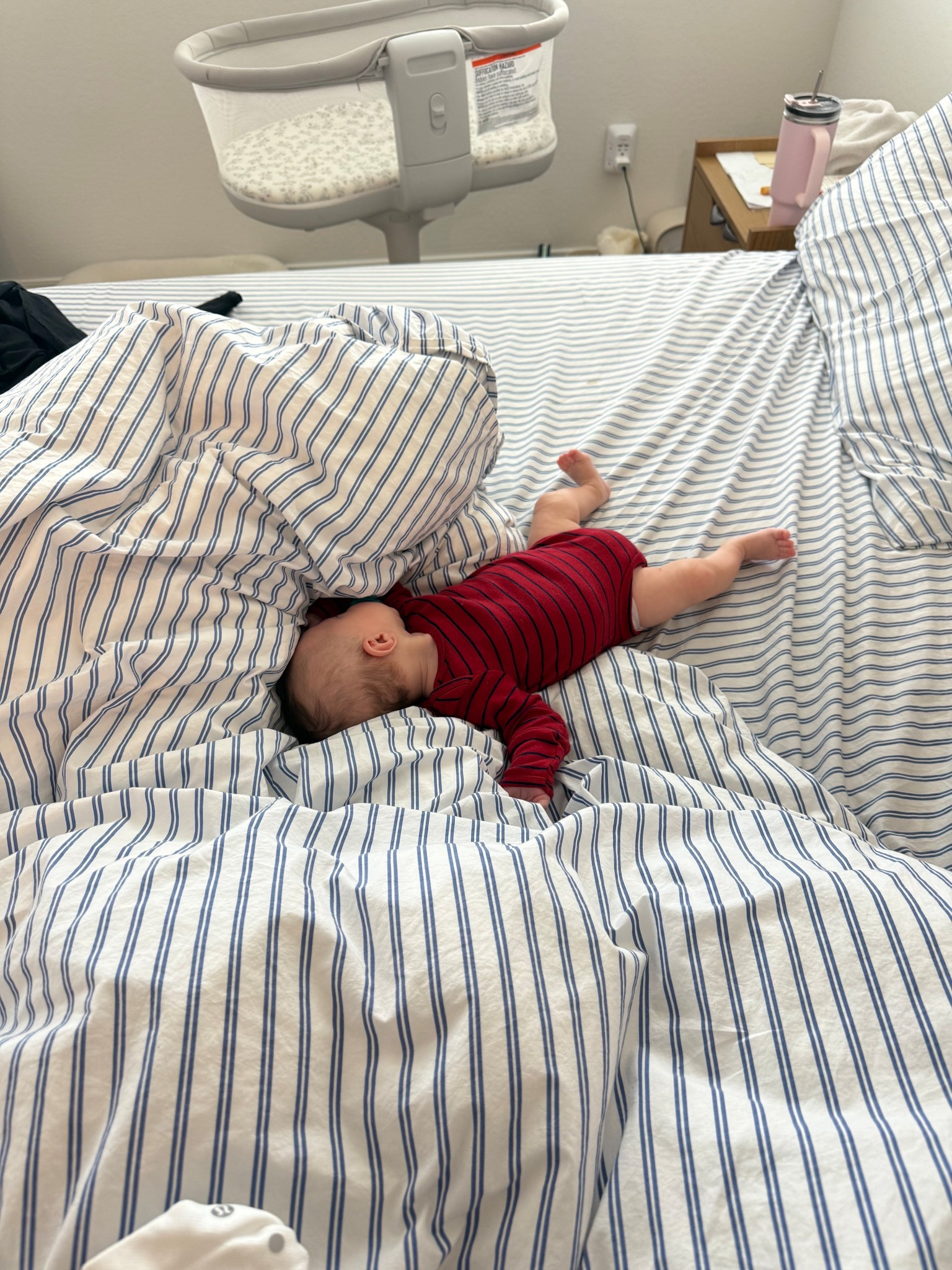 Best bedding in the world. 