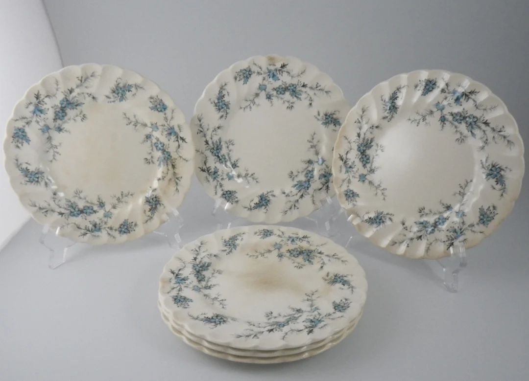 Set of 6 Shabby Vintage Bread Plates "Forget Me Not" Pattern by Myott England Staffordshire - Som... | Etsy (US)