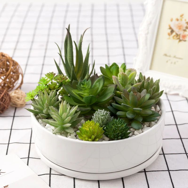 Aniecia Ceramic Pot Planter | Wayfair North America