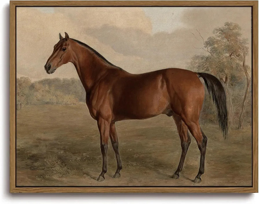 KISSFOX Vintage Framed Wall Art Decor Brown Horse Canvas Art Prints Modern Farmhouse Equestrian P... | Amazon (US)