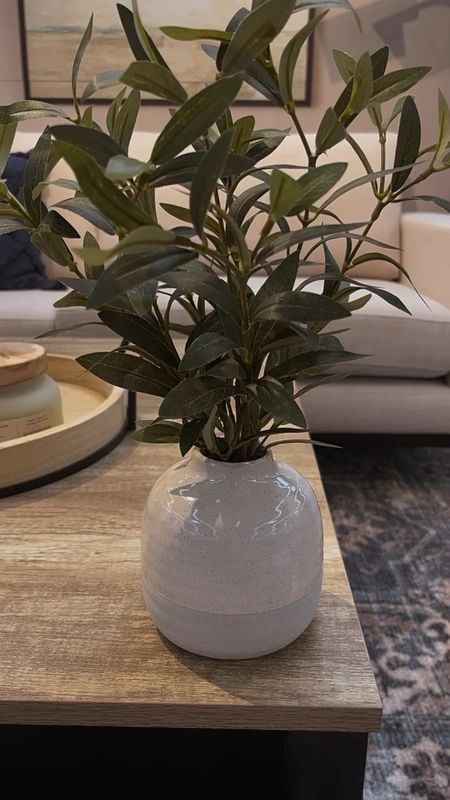 Gorgeous 14in olive plant in a 2 tone vase 

#LTKStyleTip #LTKVideo #LTKHome