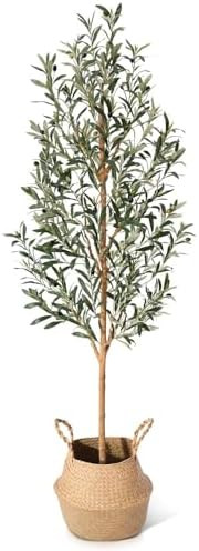 Faux Olive Tree 6FT – Tall Artificial Plants Indoor with Real Wood Trunk & Seagrass Basket, Lif... | Amazon (US)