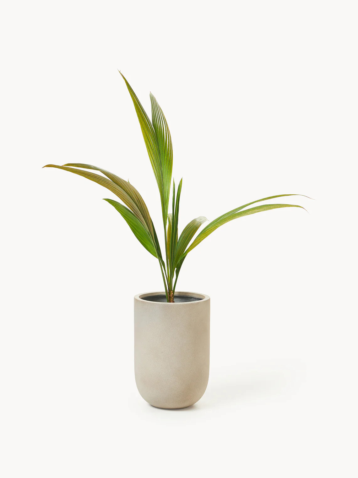 Blumentopf Tuscany aus Beton, H 49 cm | Westwing EU