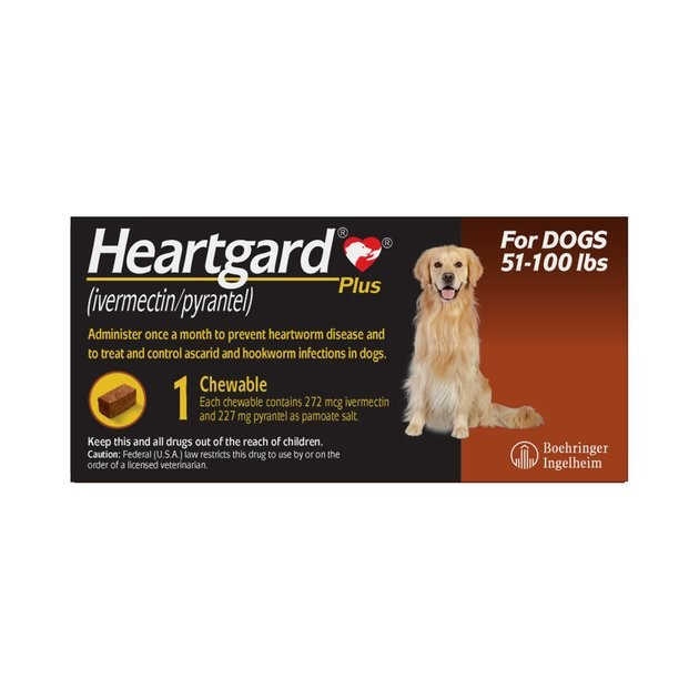 HEARTGARD Plus Chew for Dogs, 51-100 lbs, (Brown Box), 1 Chew (1-mo. supply) - Chewy.com | Chewy.com
