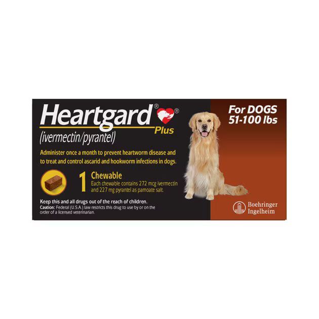 HEARTGARD Plus Chew for Dogs, 51-100 lbs, (Brown Box), 1 Chew (1-mo. supply) - Chewy.com | Chewy.com