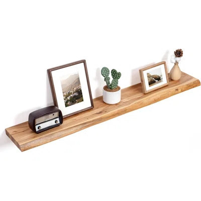 Floating Shelves for Wall Decor, Rustic Solid Elm Wood Floating Shelves Wall Mounted, Wall Shelves with Invisible Bracket for Living Room Bathroom Bed | Wayfair North America
