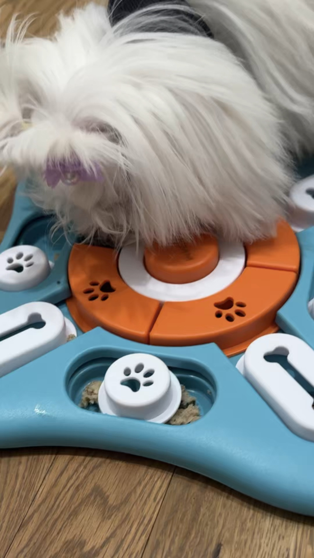 Portia loves to be stimulated! She pushes, slides and moves all the compartments until she has found all the food. It gives her a great sense of accomplishment keeps her busy!

#LTKPets