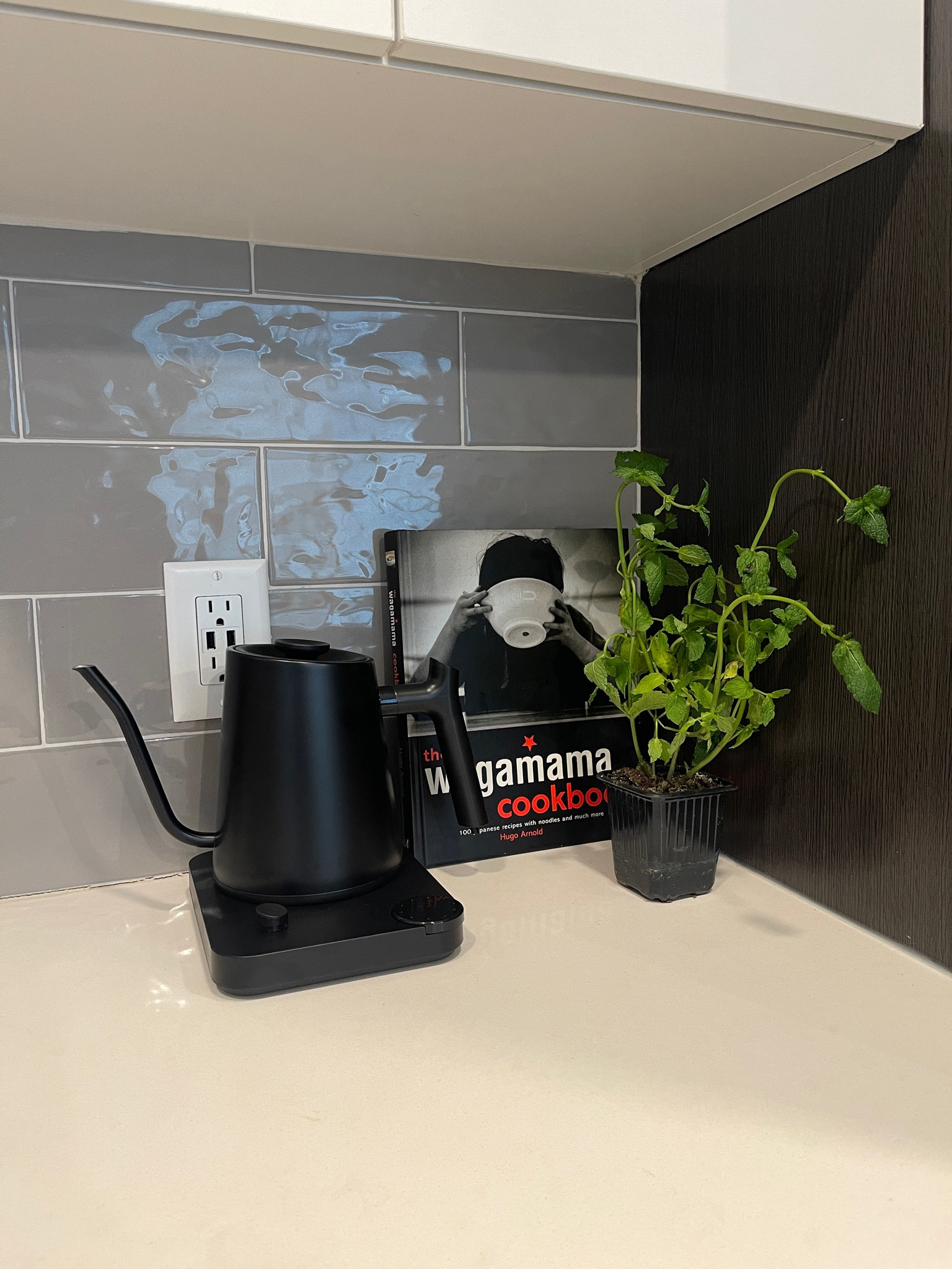 Loveee a sleek and modern kitchen accessory 🖤 just got this electric kettle from Amazon and it looks so good on the countertop! I’m linking it and more here :) 

#LTKGiftGuide #LTKhome