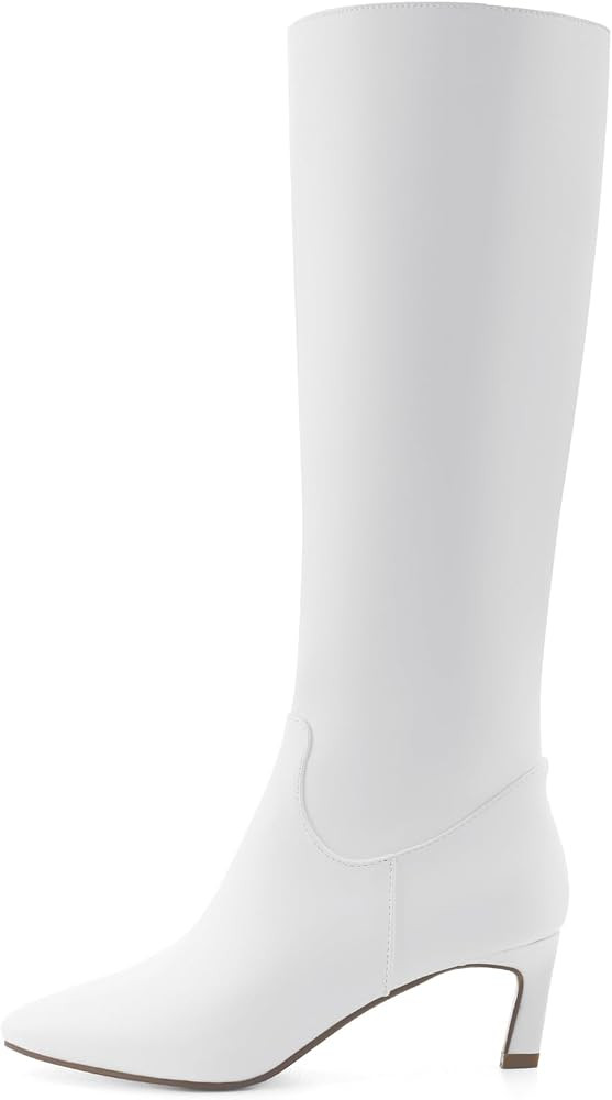 Knee High Boots for Women Kitten Heel Pointed Toe Low Mid Heel Long Tall Boots | Amazon (US)