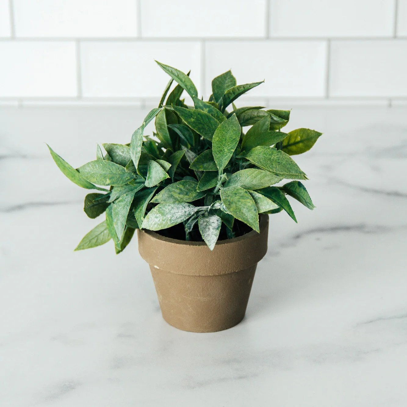 6" Potted Faux Sage | Joyfully Said