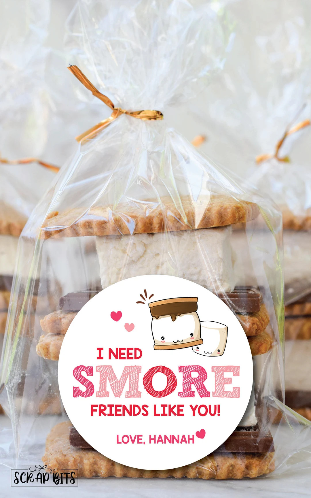 Valentine's Day Stickers . I Need Smore Friends Like You . - Etsy | Etsy (US)
