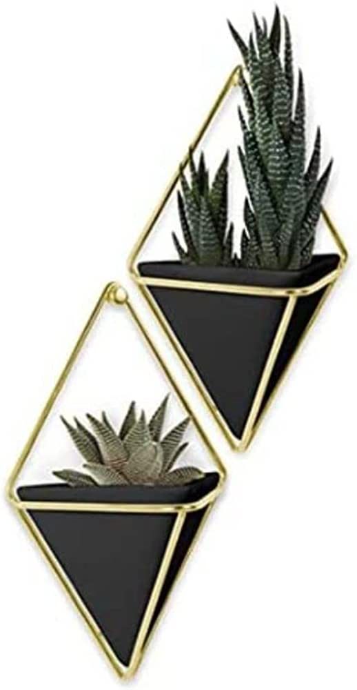 Umbra Trigg Hanging Planter Vase & Geometric Wall Decor Concrete Container - Great For Succulent ... | Amazon (US)
