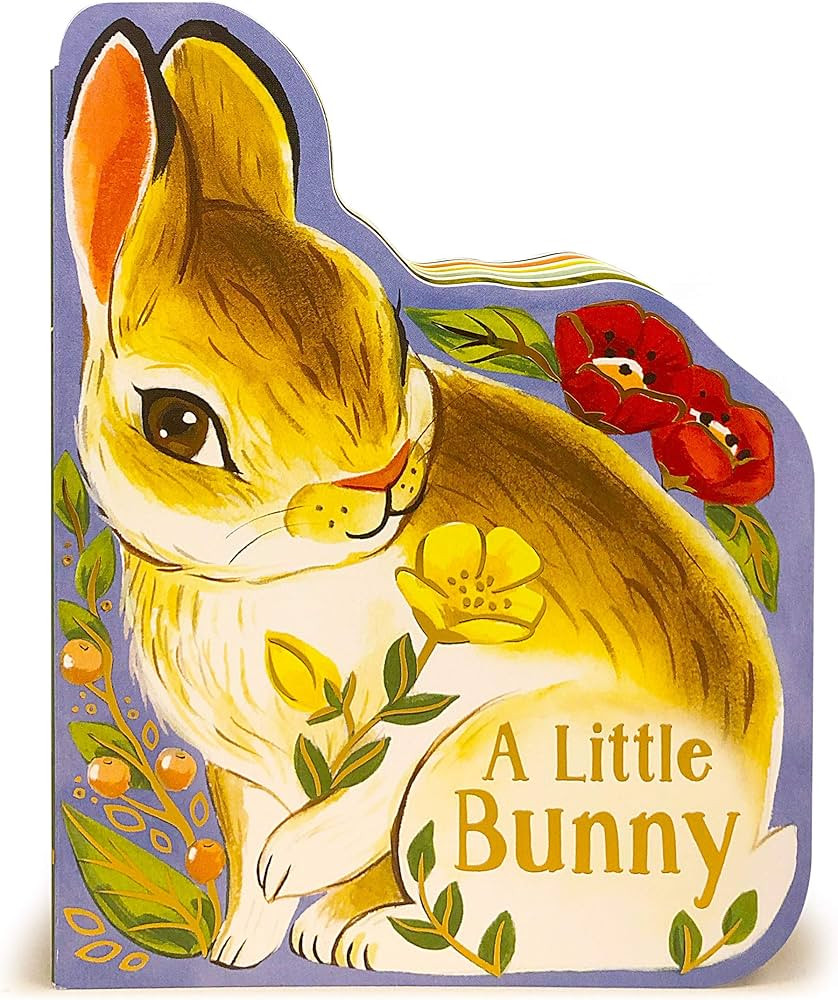 A Little Bunny - Children's Animal Shaped Board Book, | Amazon (US)