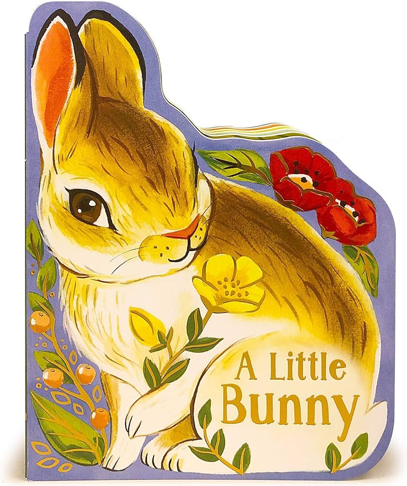 A Little Bunny - Children's Animal Shaped Board Book, | Amazon (US)
