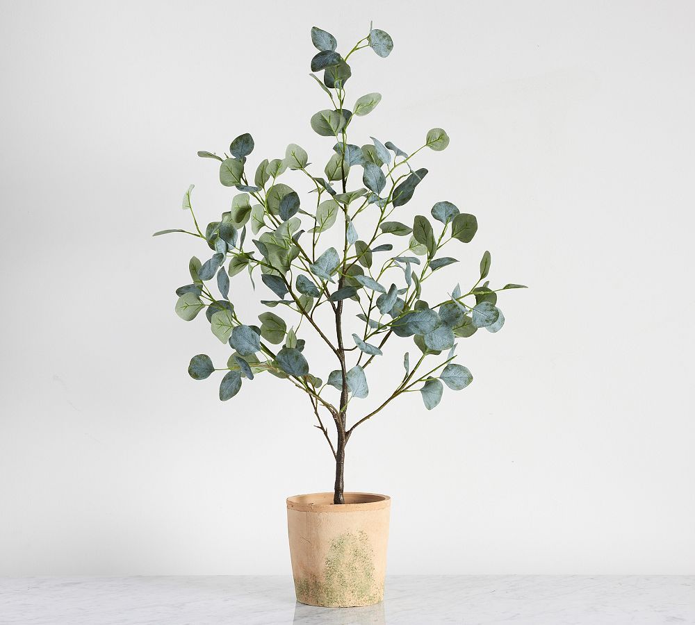 Faux Silver Dollar Eucalyptus Mini Tree | Pottery Barn (US)