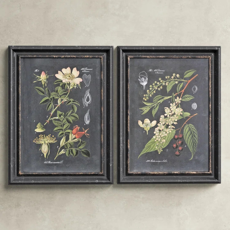 Birch Lane™ Bergenfield Midnight Botanicals by Vision Studio - 2 Piece Picture Frame Graphic Ar... | Wayfair North America
