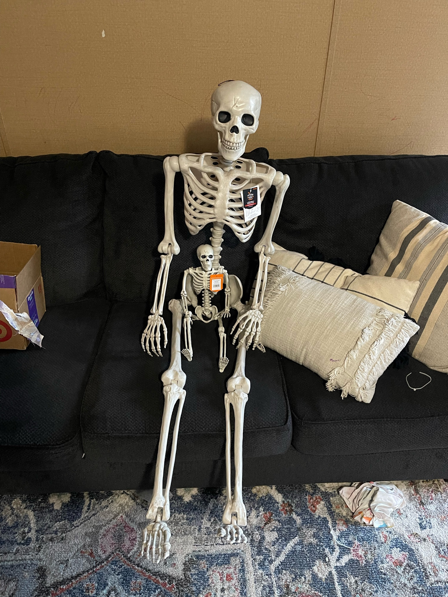 Newest members of the family 

#LTKFindsUnder50 #LTKHome #LTKSeasonal