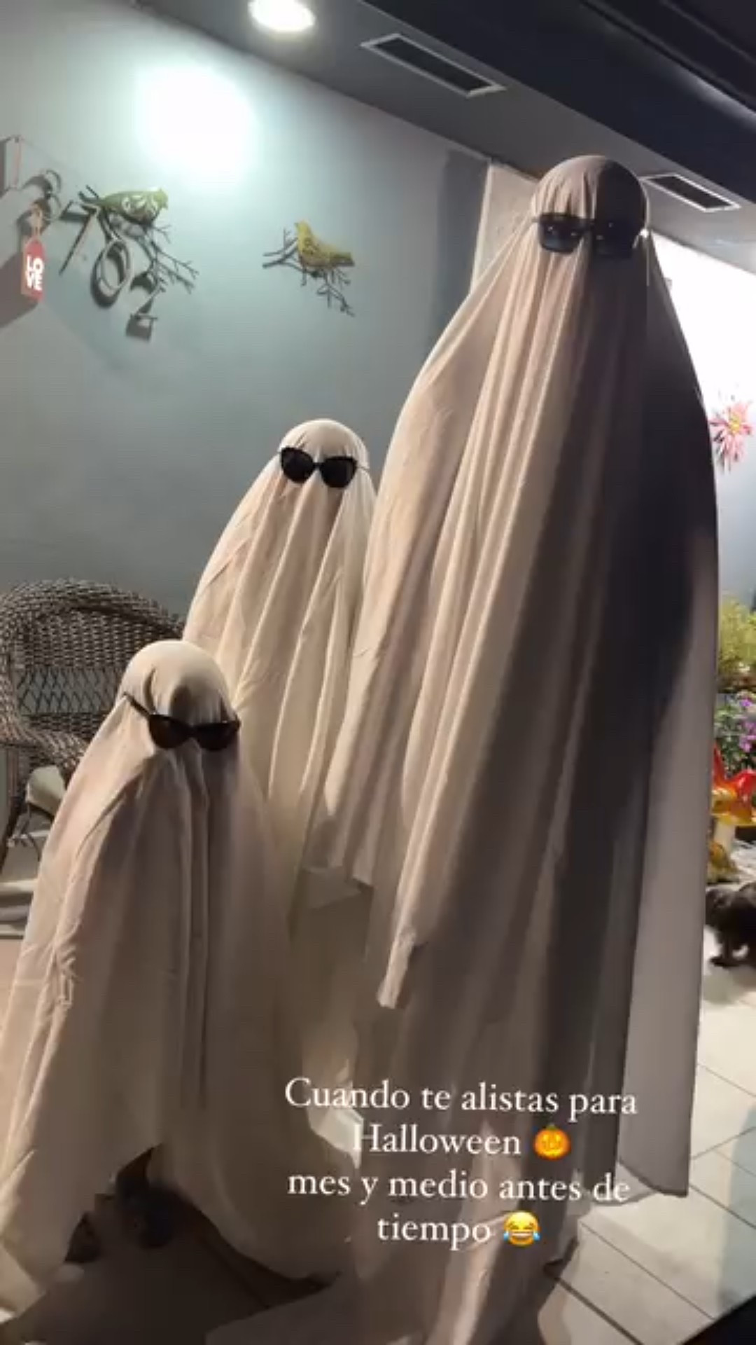 Estos fantasmitas si que son fotogénicos 😍
.
Salva el post para que lo recrees con tu familia! 🎃
.
Solo necesitas las sábanas y los sunshades 😝
.
Cute and easy 🥰
.
.
.
#halloween2024 #tbt #halloweenaroundthecorner #almosthalloween

#LTKFamily #LTKHome #LTKKids
