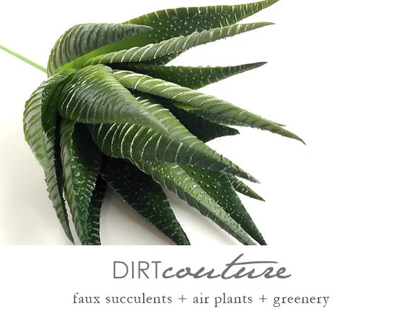 Fake Succulents Haworthia Fasciata Zebra Plant Faux Plant - Etsy | Etsy (US)