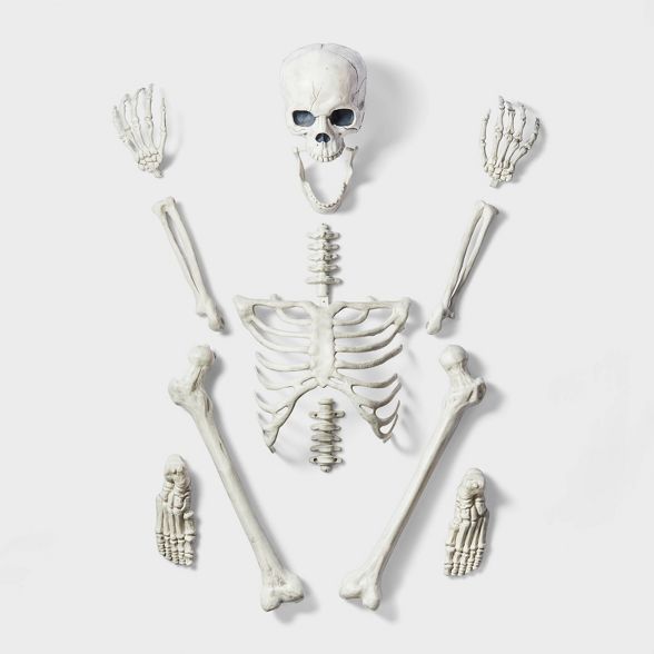 13ct Bag of Skeleton Bones Halloween Decorative Prop - Hyde & EEK! Boutique™ | Target