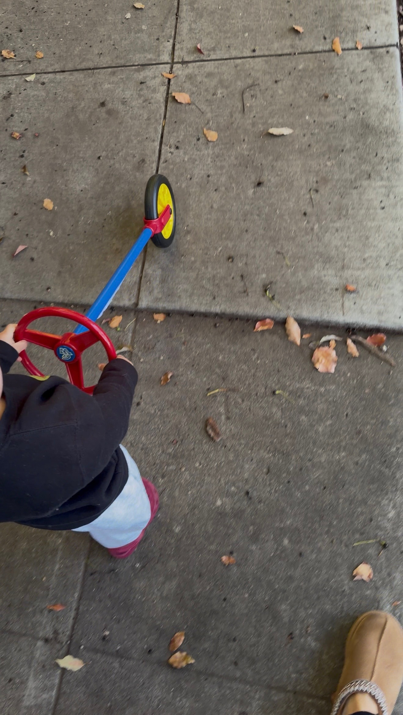 Beau's favorite toy! available on amazon prime 

 #LTKTravel #LTKBaby #LTKKids