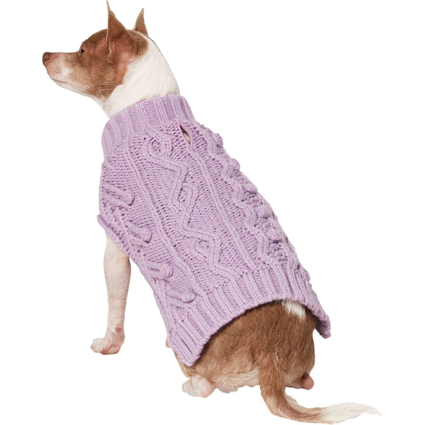 Frisco Bobble-Knit Dog & Cat Turtleneck Sweater | Chewy Canada