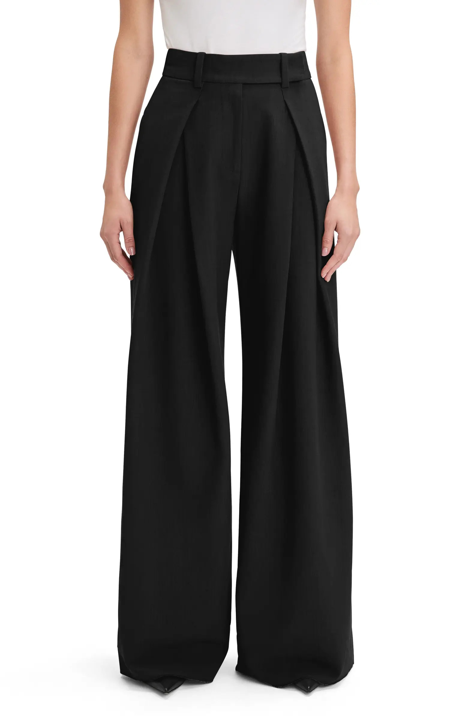Pleated Wide Leg Pants | Nordstrom