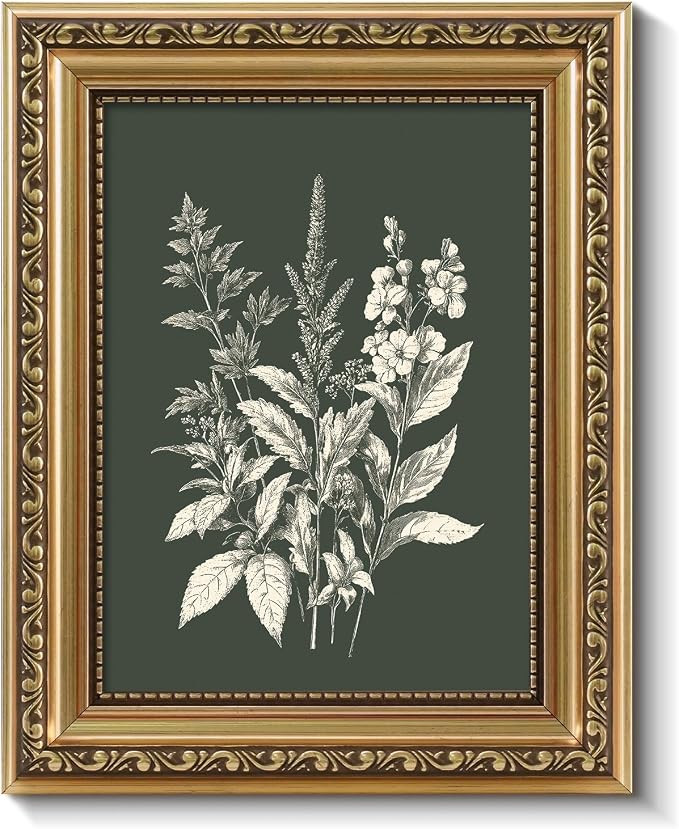 ARPEOTCY Gold Framed Canvas Wall Art, Botanical Floral Illustration Art Prints, Modern Minimalist... | Amazon (US)