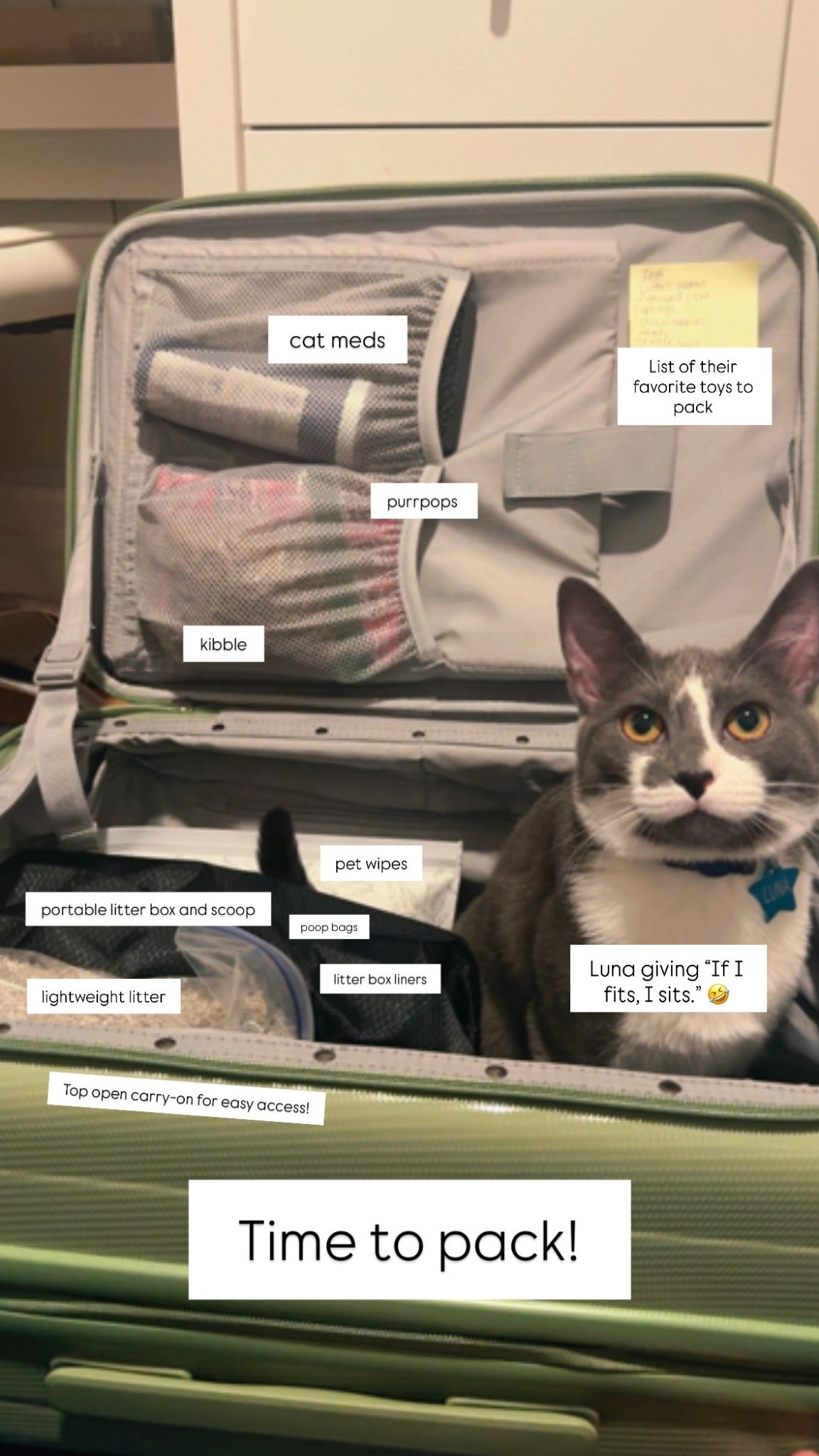 Here are my cat packing and traveling essentials!

#LTKGiftGuide #LTKTravel #LTKHoliday