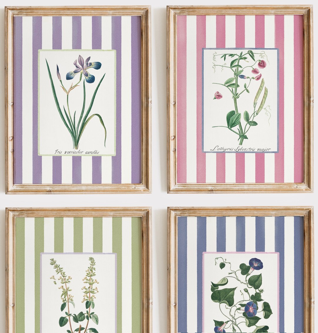 8 Striped Floral Art Prints, Grandmillenial Nancy Meyers Inspired Botanical Print With Periwinkle... | Etsy (US)