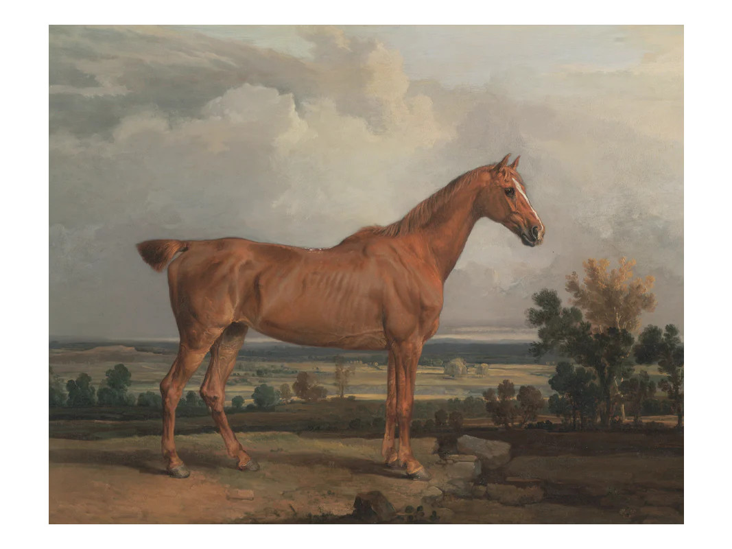 Stance | Heirloom Print Shop