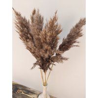 Grass Decor, Vase Filling, Pampas Grass, Dry Flowers Bouquet, Grey Decor | Etsy (US)