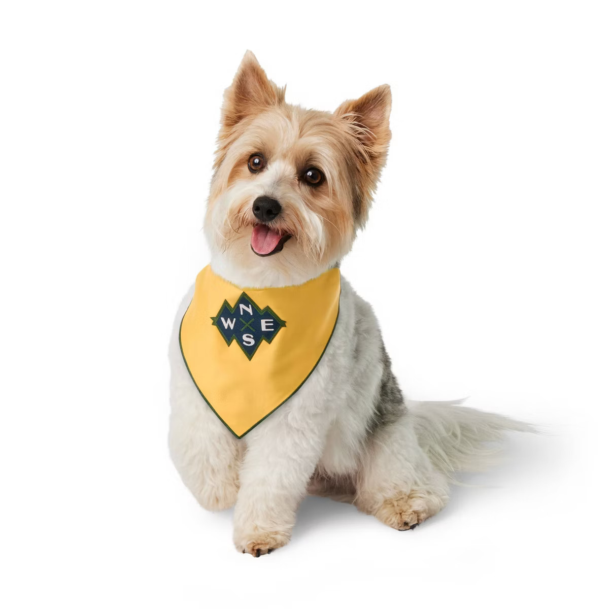 Reversible Compass Dog and Cat Bandana - Dark Yellow - The Cuddle Collab with Baloo & Pan | Target