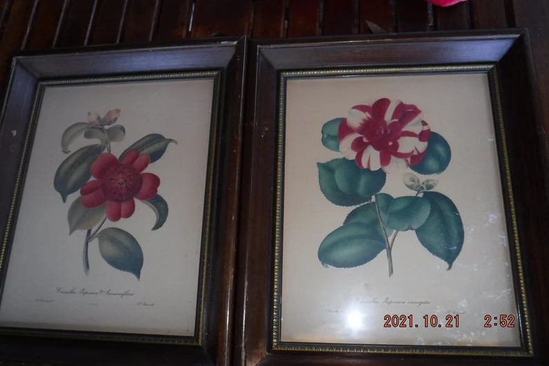 Price:
        $150.00 | Etsy (US)