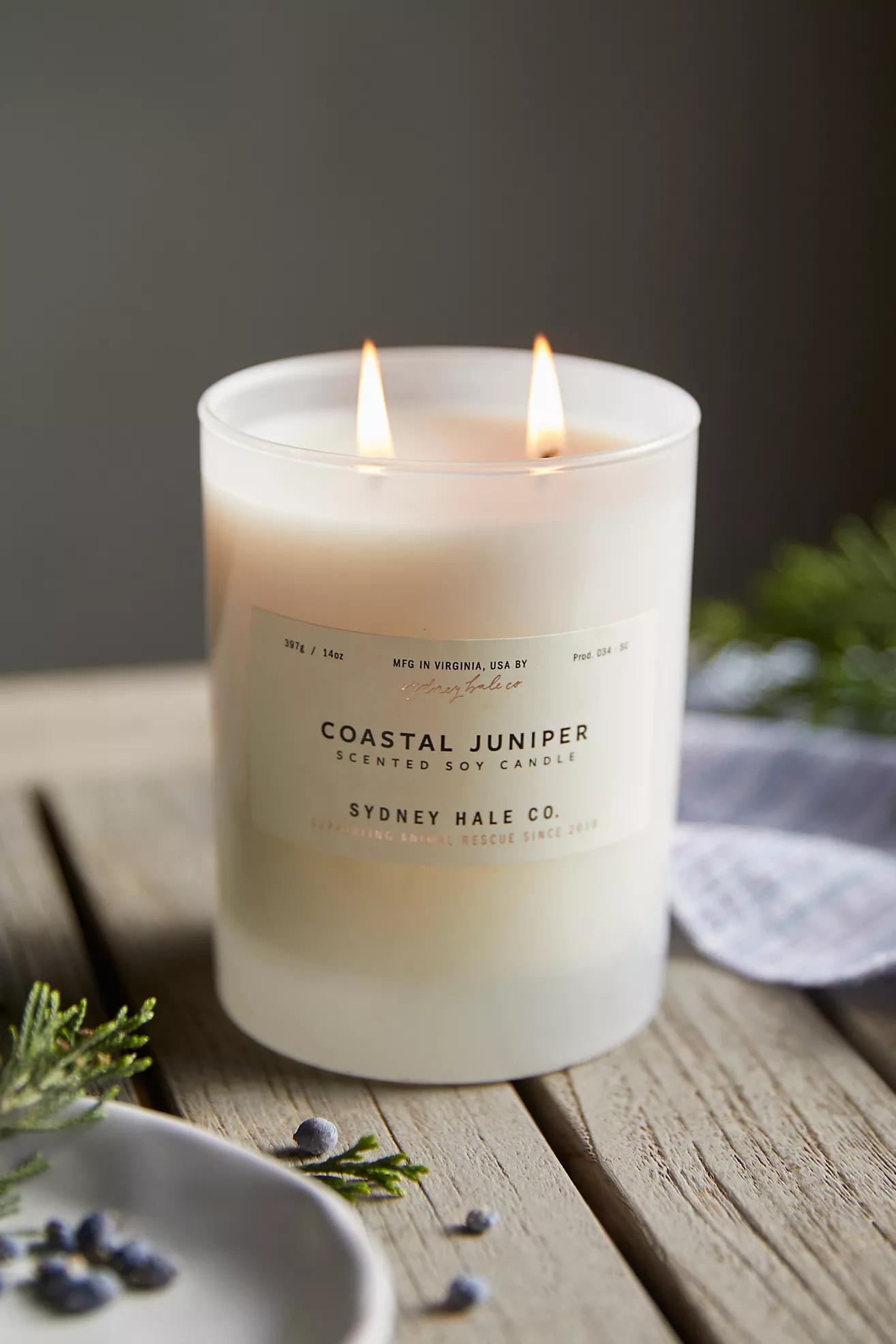 Sydney Hale Candle, Coastal Juniper | Anthropologie (US)