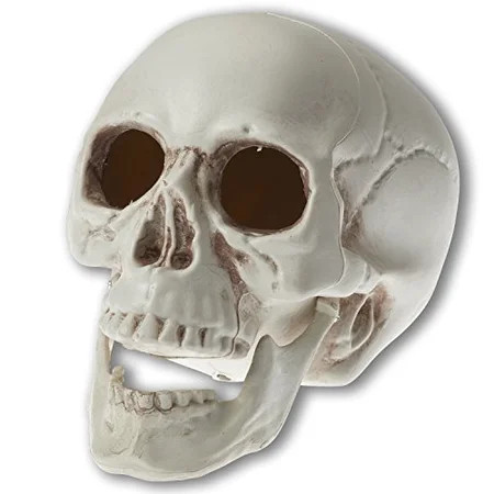 Prextex 6.5 Realistic Looking Skeleton Skull Halloween Decoration | Walmart (US)