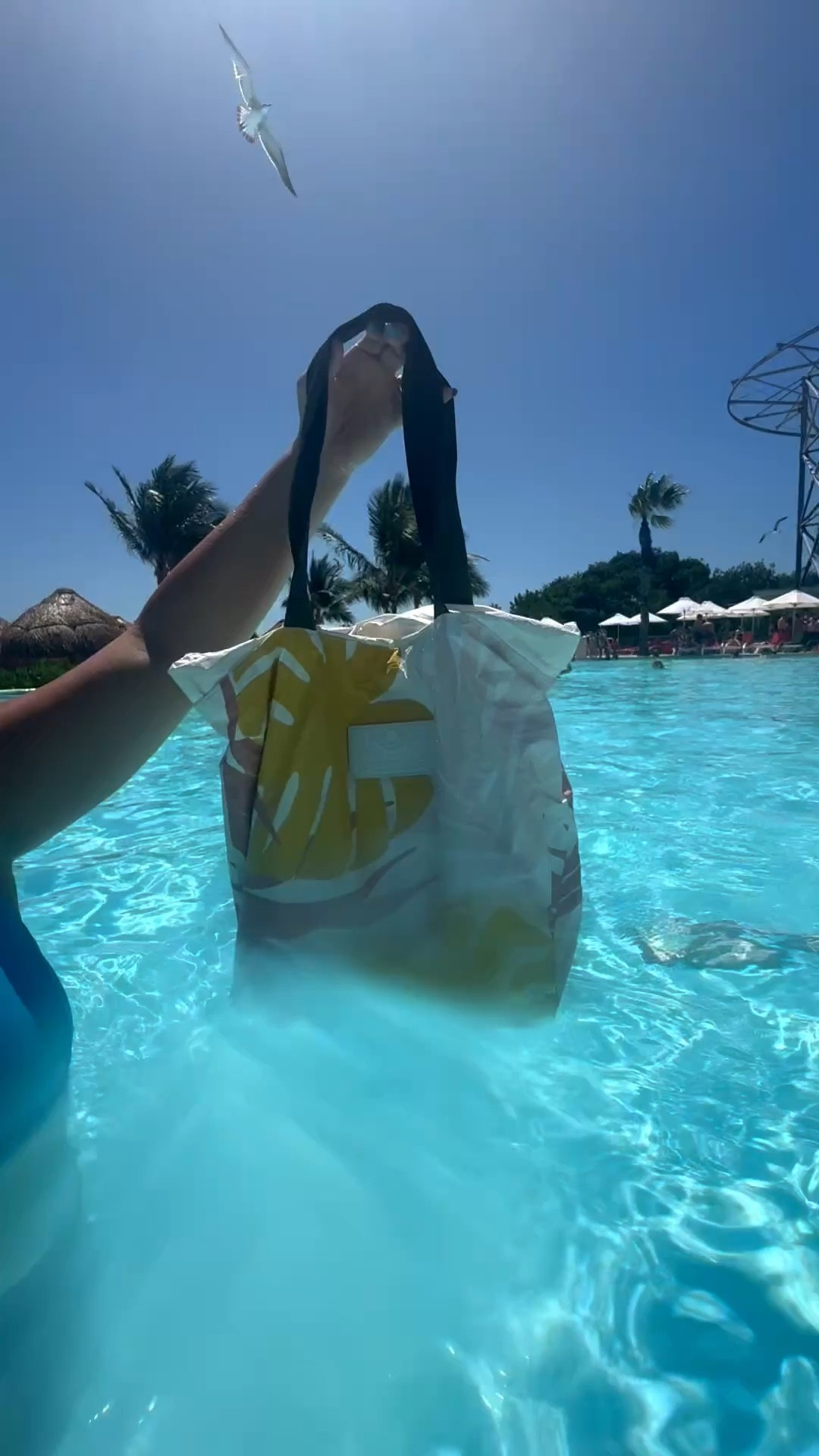 What’s in my bag: vacation edition ✈️🌴

Sandals, water baseball, sunscreen, phones, gum… and zero stress

Obsessed with my ALOHA Collection bag for keeping everything together at Dreams Natura Resort & Spa

#LTKActive #LTKSwim #LTKTravel