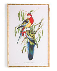 24x36 Platy Eximius With Ornate Frame Wall Art | Home | Marshalls | Marshalls