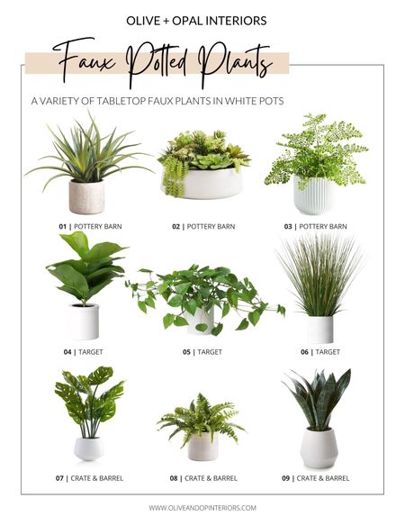 Faux greenery is a must in staging. Check out this roundup of some faux plants in white pots!
.
.
.
Pottery Barn
Target
Crate and Barrel 
Faux Plants
Aloe
Succulents 
Fern
Fiddle Leaf
Pothos 
Grass
Monstera
Snake Plant


#LTKhome #LTKstyletip #LTKunder100