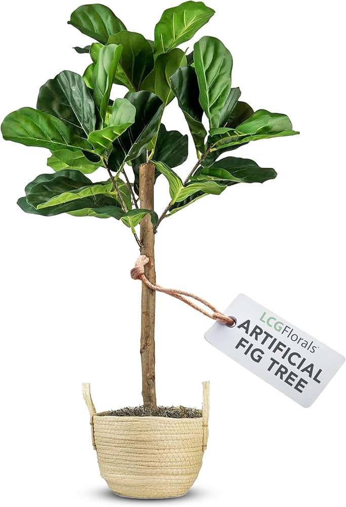 3FT Fiddle Leaf Fig Tree in Boho Woven Basket with Real-Wood Trunk - Low Maintenance Indoor & Out... | Amazon (US)