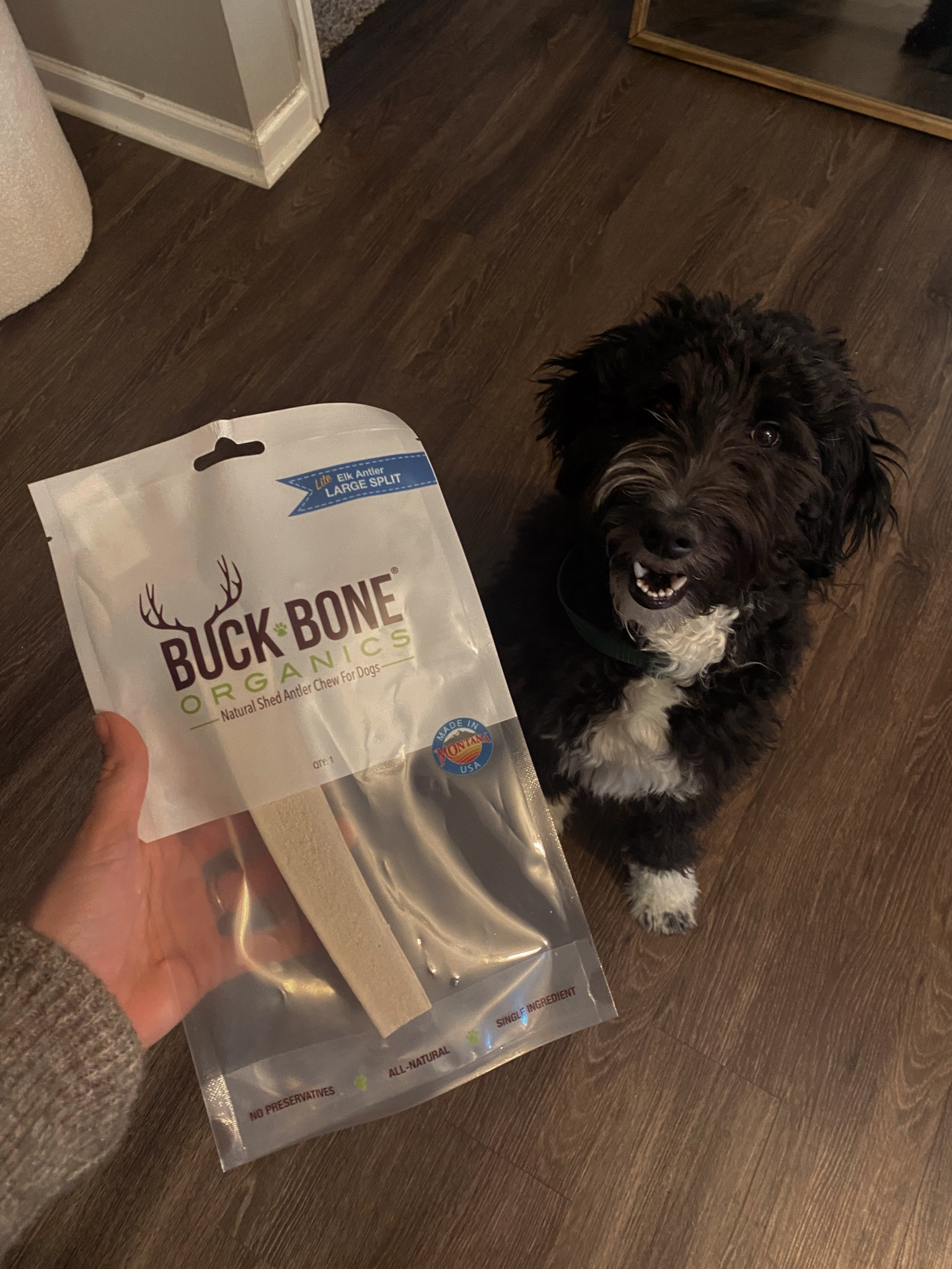 dog supplies🐾

#LTKFind #LTKGiftGuide #LTKfamily