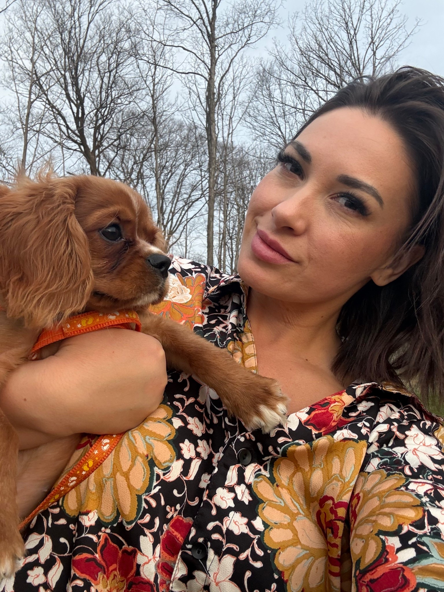 My new little friend Baghi❤️ I added some essentials that I bought for my lovely 🐕 

#LTKHome #LTKActive #LTKdayinmylife