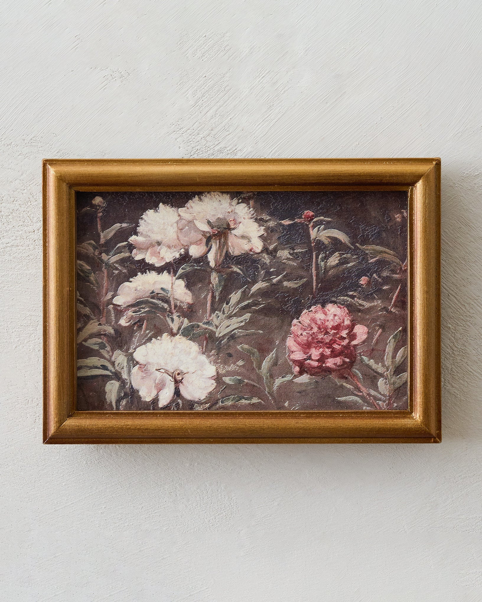 Vintage Botanicals in Bloom Framed Art | Magnolia