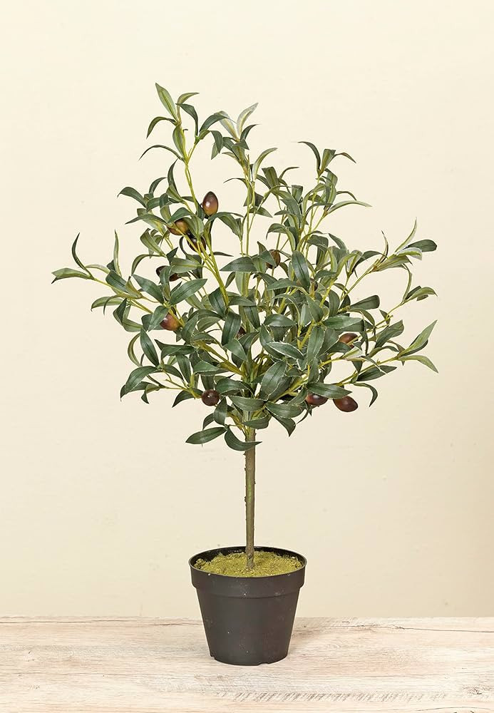 22 Inch High Artificial Olive Tree in Pot, Faux Olive Tabletop Tree with Olive Fruit, Faux Greene... | Amazon (US)