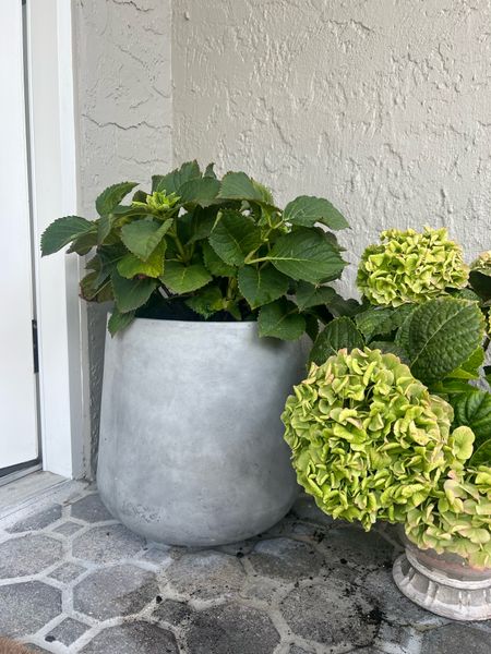 Sleek, modern gray concrete outdoor pots / Flower pots / home decor / plants / patio / pool / front door

#LTKFind #LTKhome