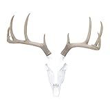 Near and Deer BS0100 Faux Taxidermy Deer Skull Wall Mount, White/Natural | Amazon (US)