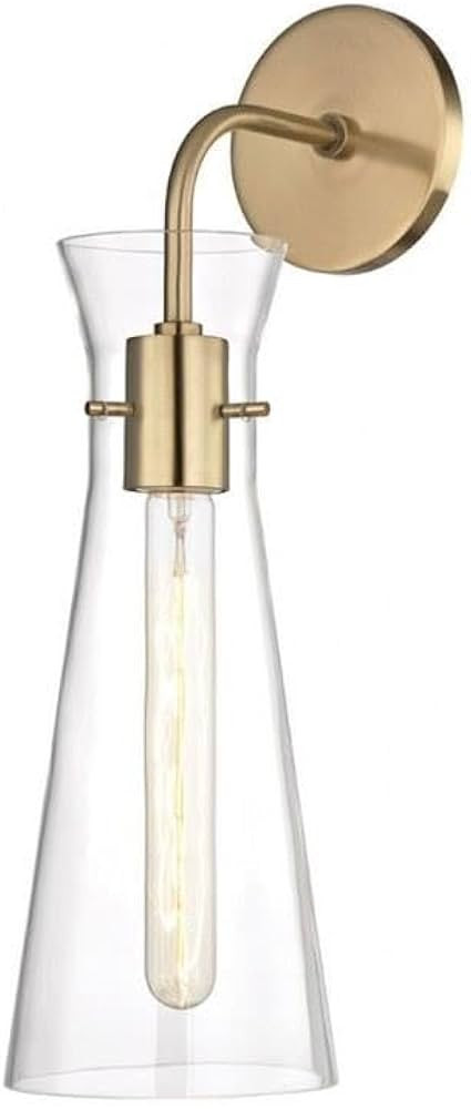1 Light Contemporary Metal Wall Sconce with Clear Glass-18.5 inches H by 5.5 inches W-Aged Brass ... | Amazon (US)