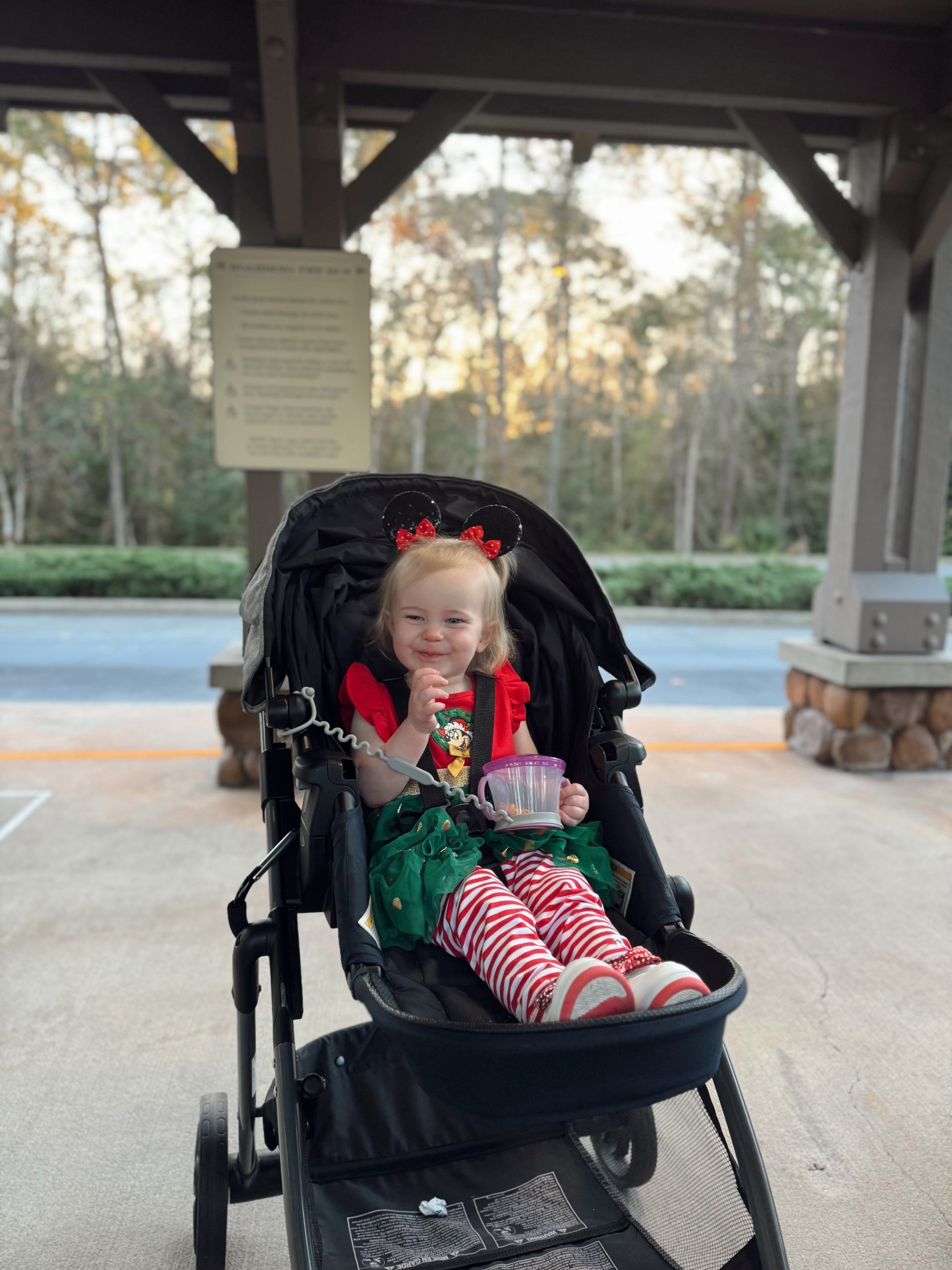 Baby girls Disney Mickey ears

Christmas Disney outfit baby 

#LTKBaby #LTKKids #LTKTravel